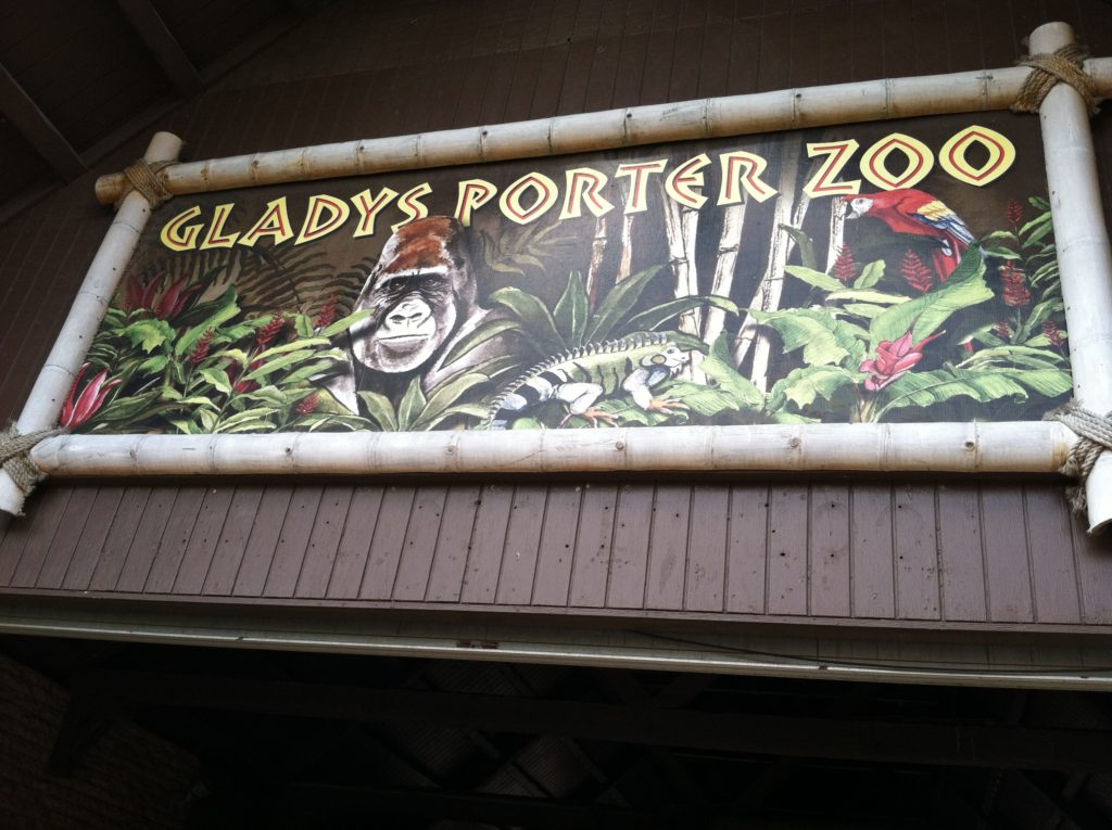 gladys porter zoo dinosaur exhibit