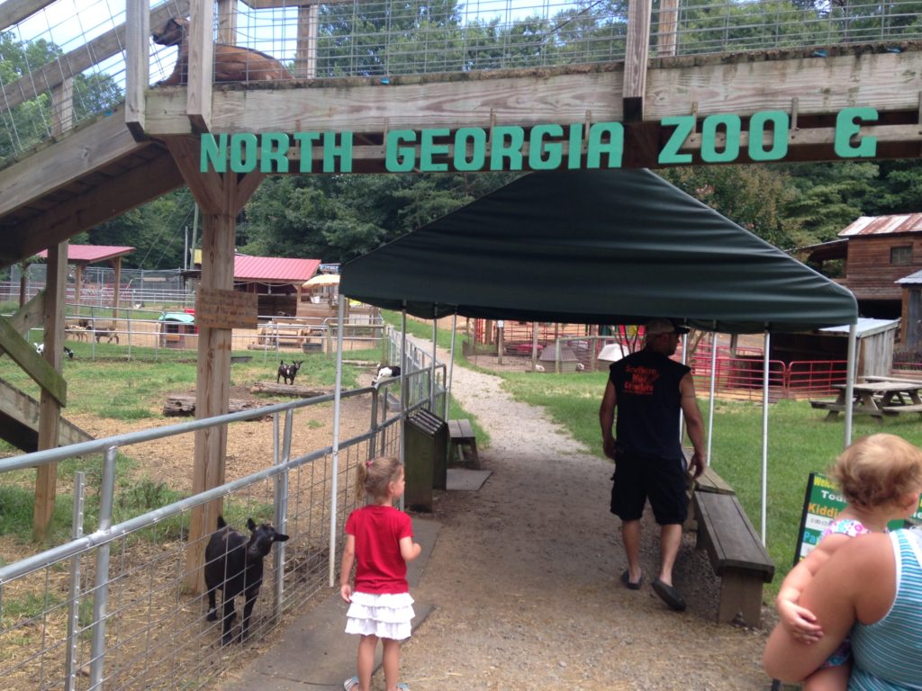 north georgia safari zoo